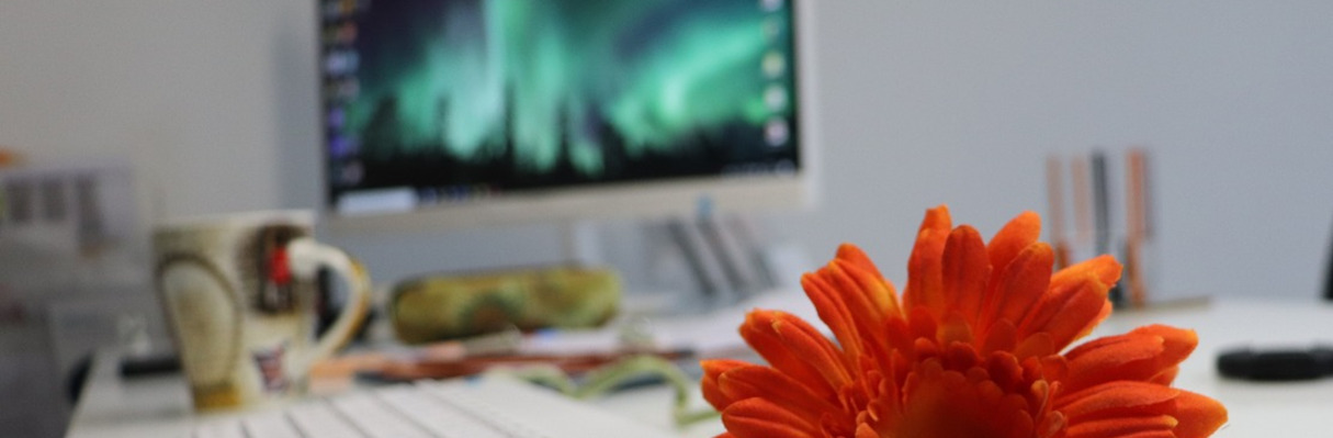 Das Foto zeigt einen Büroschreibtisch mit einer Blujme im V ordergrund.